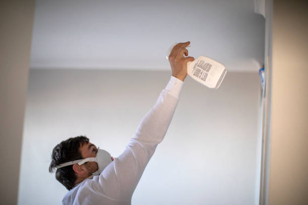 Bristol, VA Mold Remediation Company