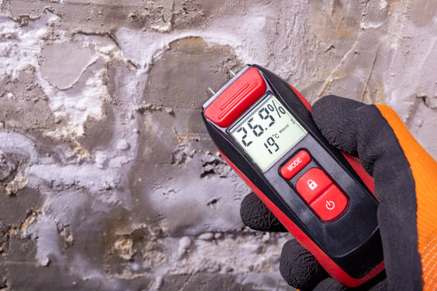  Bristol, VA Mold Removal Pros
