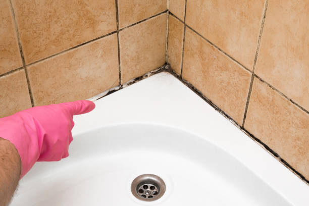 Best Emergency Mold Remediation in Bristol, VA